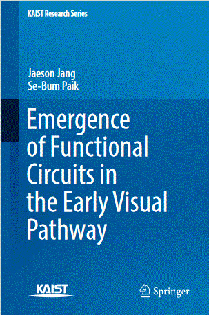 Emergence of Functional Circuits in the Early Visual Pathway